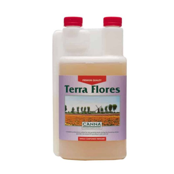 Canna Terra Flores