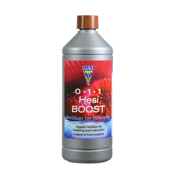 Hesi Boost