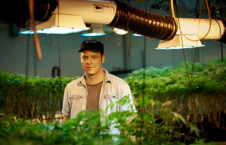 Größter Cannabis-Bauer gibt wegen Kurz auf