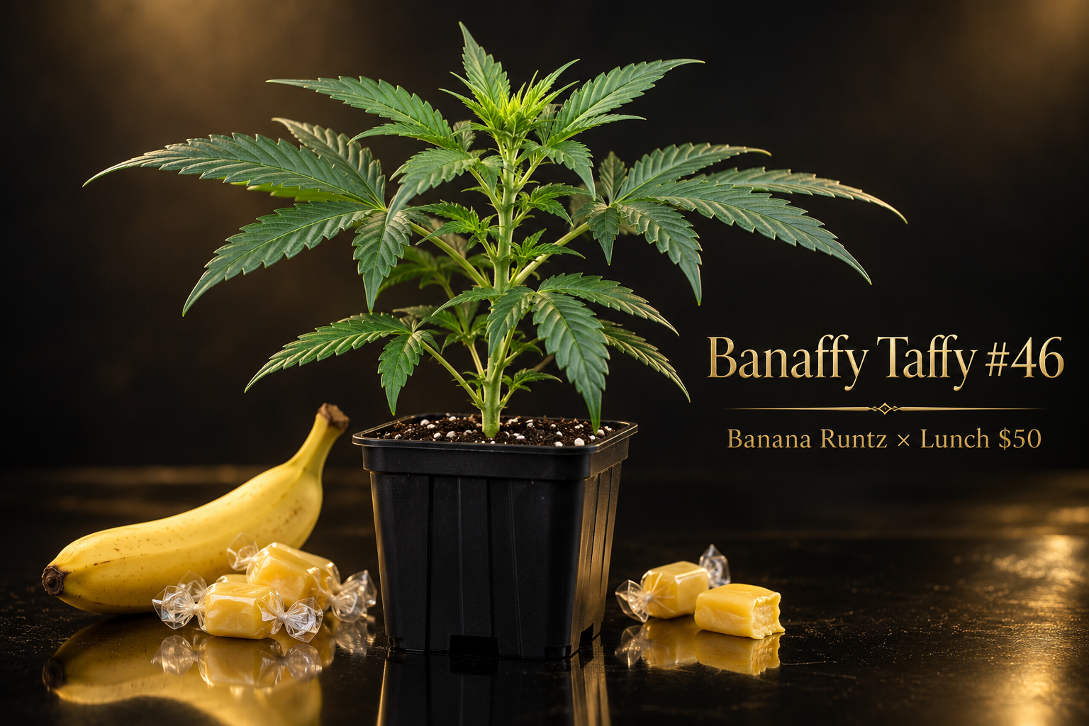 Banaffy Taffy #46