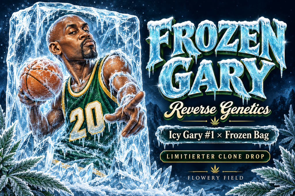 Illustration von Gary Payton mit Basketball in einem Eisblock, daneben Frozen Gary, Reverse Genetics und die Kreuzung Icy Gary #1 × Frozen Bag.