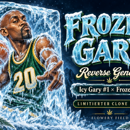 Illustration von Gary Payton mit Basketball in einem Eisblock, daneben Frozen Gary, Reverse Genetics und die Kreuzung Icy Gary #1 × Frozen Bag.