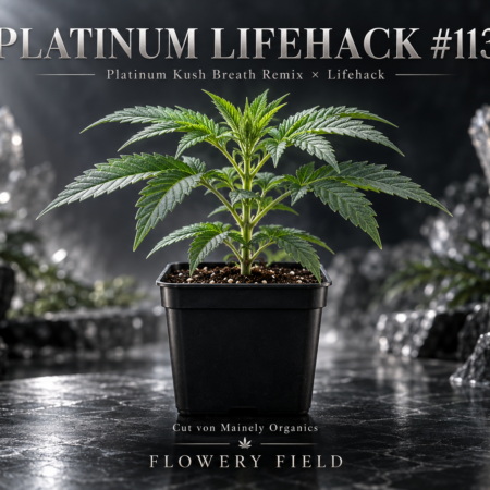 Cannabis-Jungpflanze im schwarzen Topf vor silbrigem Kristallhintergrund mit dem Schriftzug „Platinum Lifehack #113“.