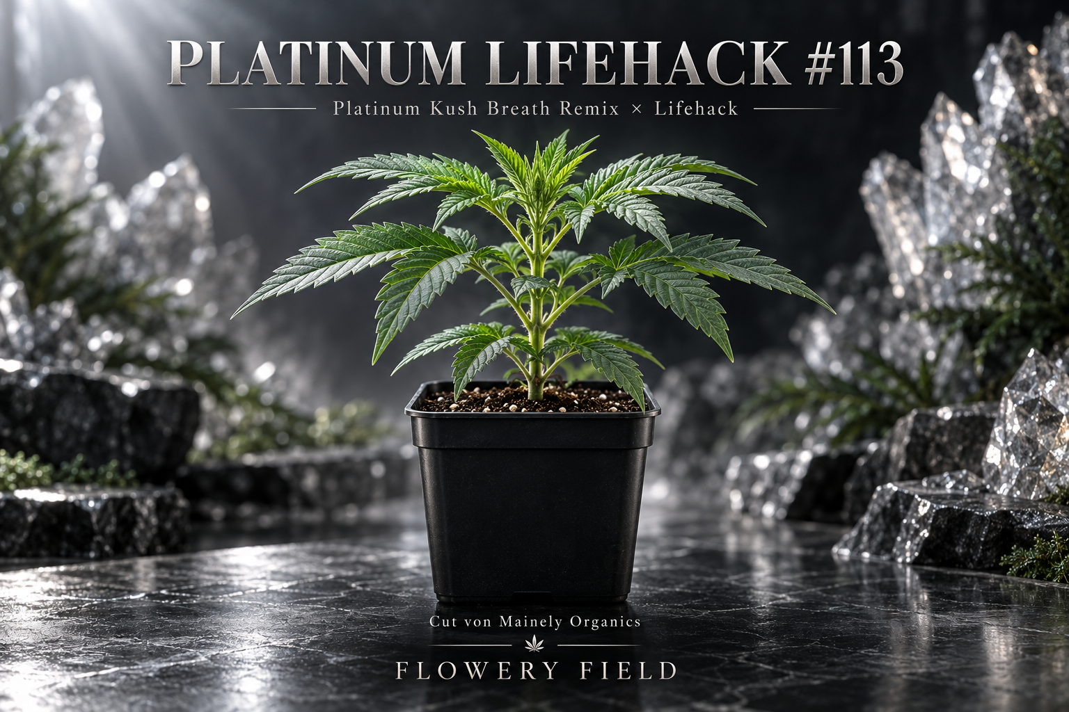 Platinum Lifehack #113
