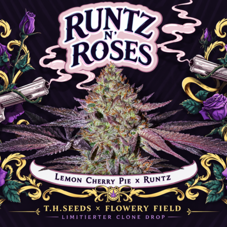 Runtz N’ Roses Motiv mit harzreicher Cannabisblüte, violetten Rosen, dekorativen Revolvern und dem Schriftzug „T.H.Seeds × Flowery Field – Limitierter Clone Drop“.