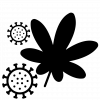 viruscannabis-marijuana-plant-leaves-drug-kush-weed.png